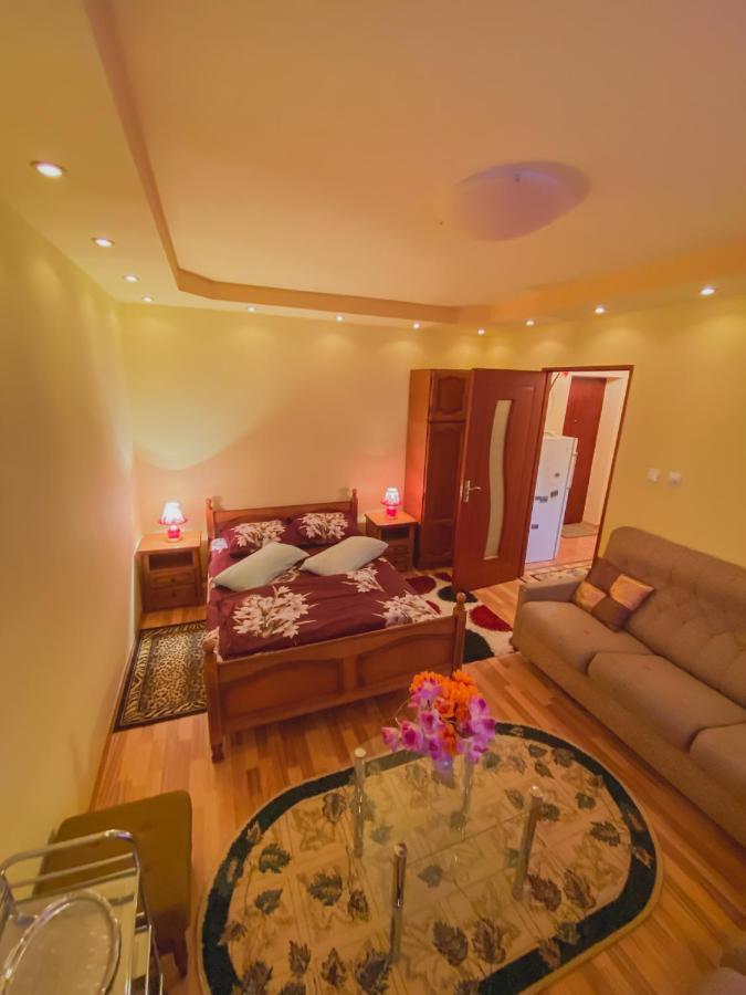 Apartament Cristian Geoagiu Băi Extérieur photo