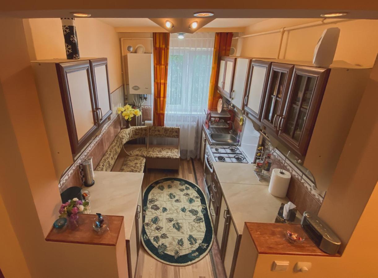 Apartament Cristian Geoagiu Băi Extérieur photo