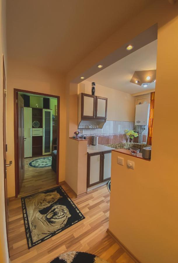 Apartament Cristian Geoagiu Băi Extérieur photo