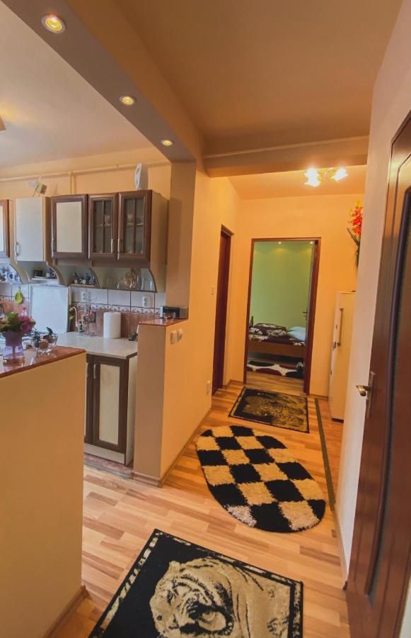 Apartament Cristian Geoagiu Băi Extérieur photo