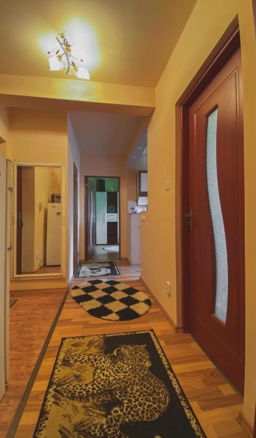 Apartament Cristian Geoagiu Băi Extérieur photo